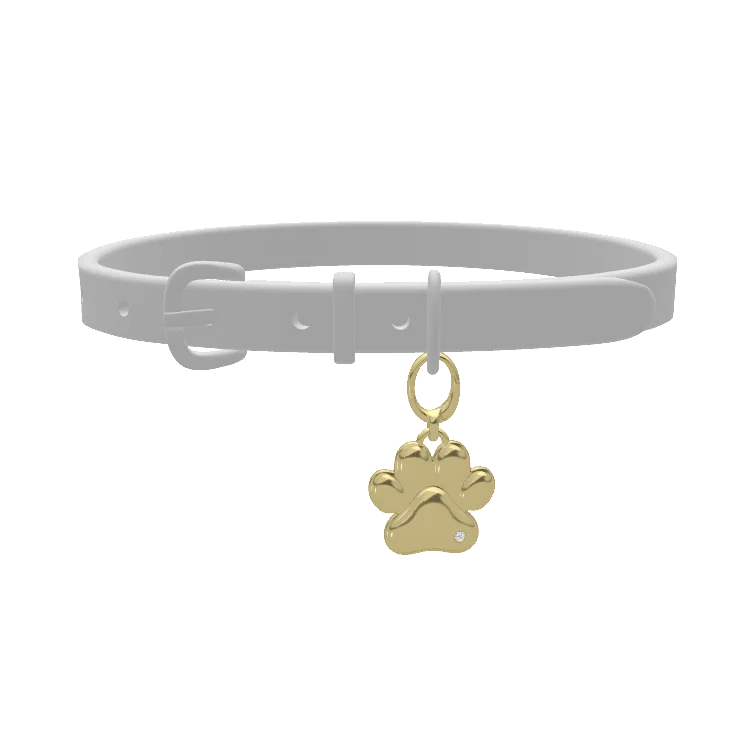 Breloque Personnalisée Patte d'Animal de Compagnie | Médaille Gravée sur Mesure pour Chats et Chiens, Cadeau Mignon avec Nom