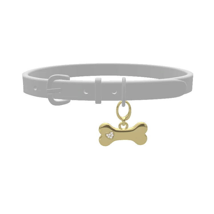 Personalized Paw Print Pet Collar Charm – Custom Engraved Name Tag