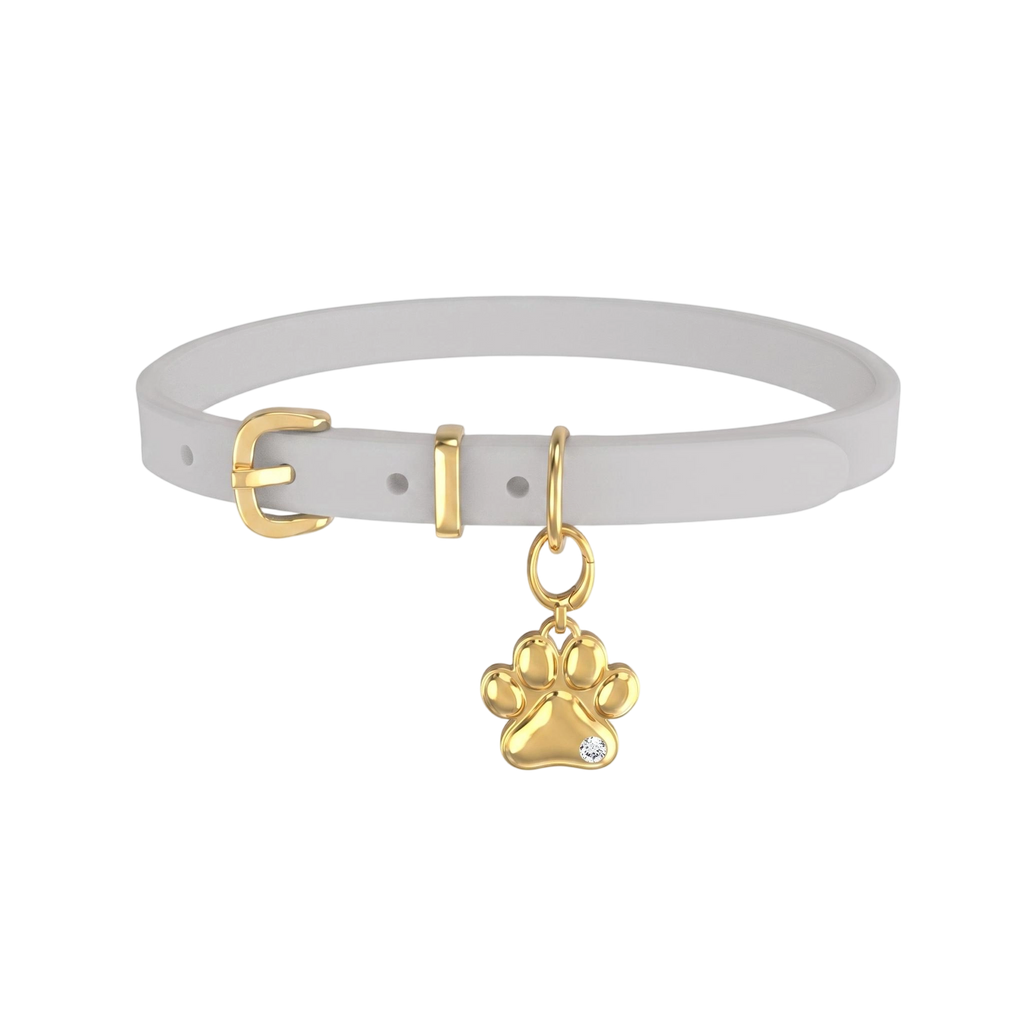 Personalized Paw Print Pet Collar Charm – Custom Engraved Name Tag